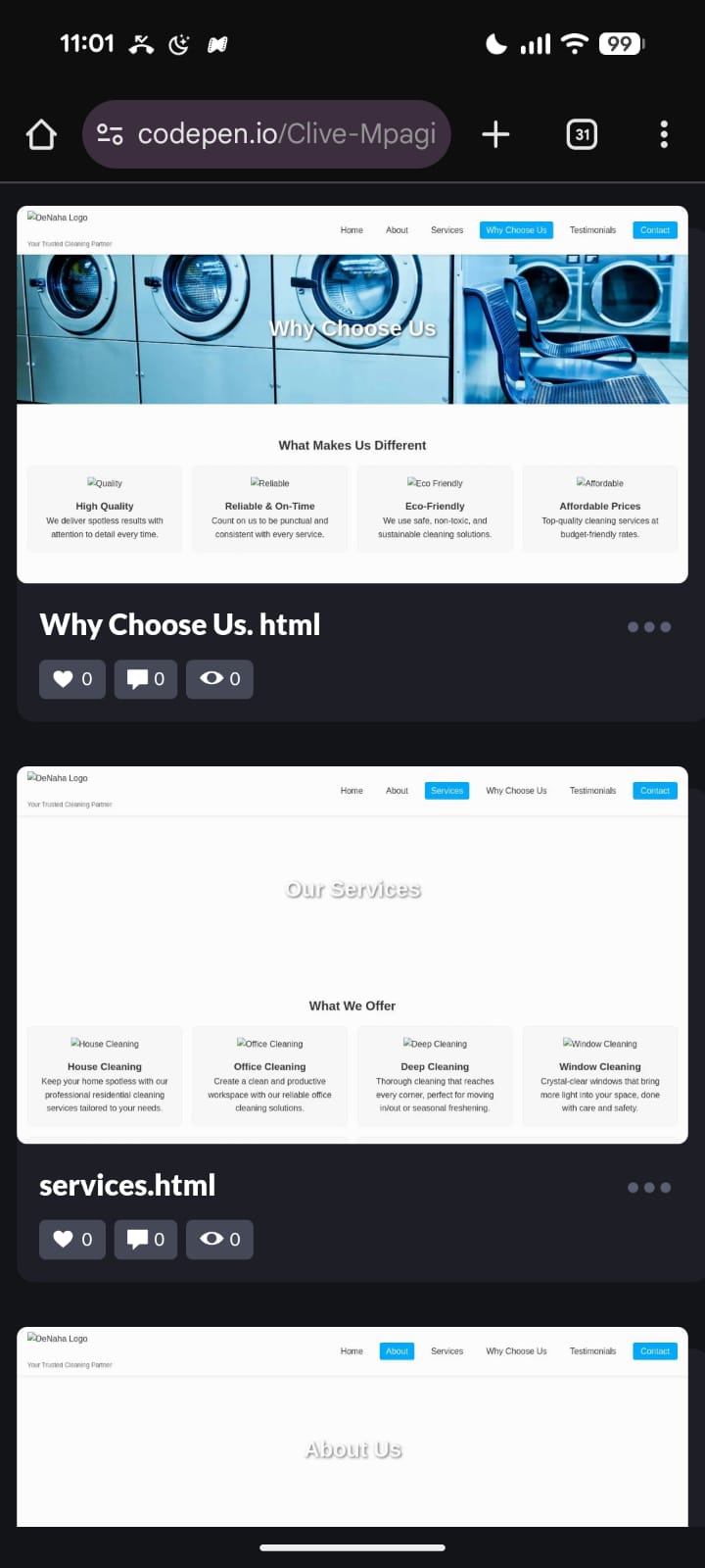 Travel website project